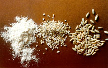 Ferkar ground rye.